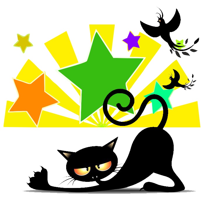 ať stane se z vás hvězda